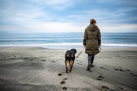 Uma garota caminha com um cachorro Rottweiler na coleira pela praia em clima frio