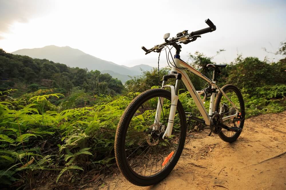 mountain bike